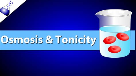 Osmosis And Tonicity Worksheet