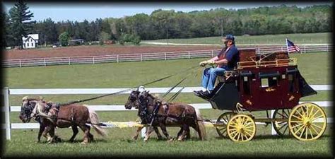 These 8 Miniature Horse Carts Are Totally Adorable!