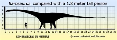 Barosaurus | Prehistoric animals, Prehistoric creatures, Prehistoric ...