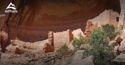 10 Best hikes and trails in Canyons of The Ancients National Monument ...