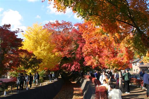 Autumn in Kawaguchiko Lake | KoKoRoGraphy