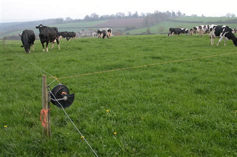 Stuff4Petz - How to Install an Electric Fence For Cattle