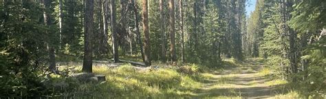 Echo Lake Trail, Montana - 41 Reviews, Map | AllTrails