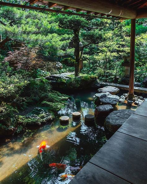 Visit Japan: A common sight in ponds in Japanese gardens, koi fish are ...