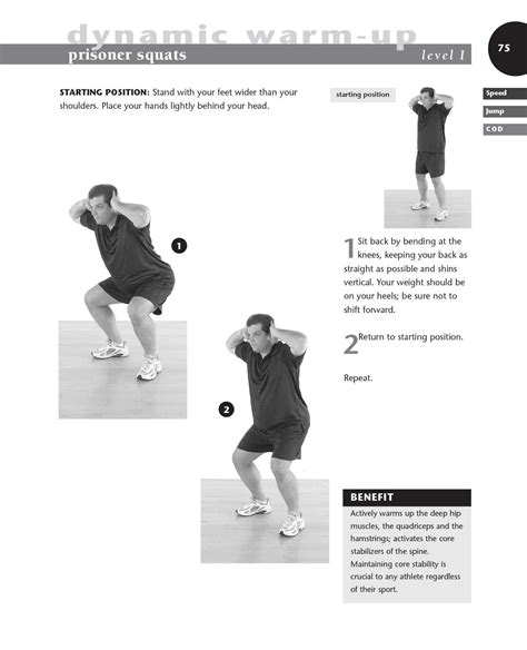 Plyometrics for Athletes at All Levels | Book by Neal Pire | Official ...