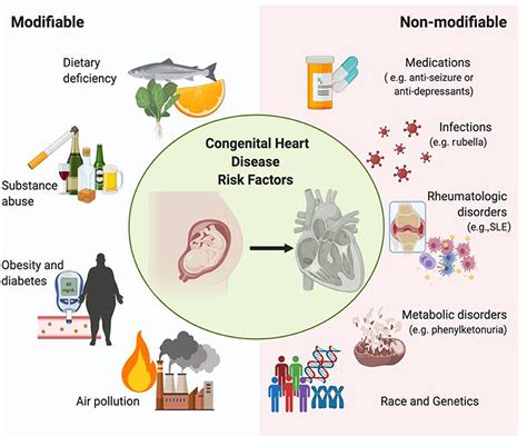 leyendo Desalentar Etna congenital heart block incrementar Controlar Envío