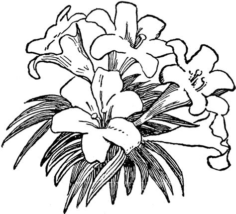 Free Flower Clipart Black And White, Download Free Flower Clipart Black ...