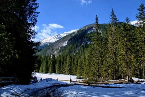 12 Best Hiking Trails in Zakopane - the Tatra Mountains