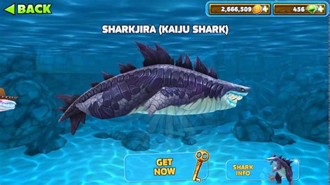 SHARKJIRA (KAIJU SHARK) GET NOW 900 GEMS ! - Hungry Shark Evolution ...