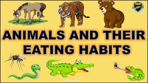 Top 159 + Animals and their food habits chart - Inoticia.net