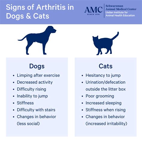 Arthritis Osteoarthritis in Cats - INO Pets Parents Network