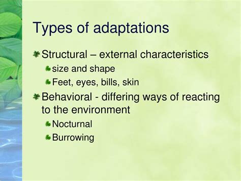 PPT - Adaptations PowerPoint Presentation, free download - ID:1969922