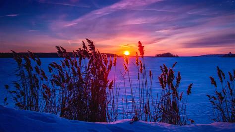 Winter Sunset Silhouette: A Stunning 4K Ultra HD Wallpaper