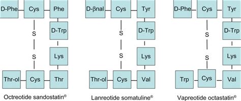 Structure of octreotide and its derived peptides. | Download Scientific ...