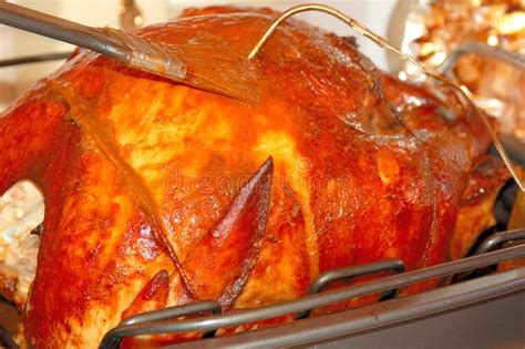 Basting Turkey 4 stock image. Image of oven, cook, baste - 7566843