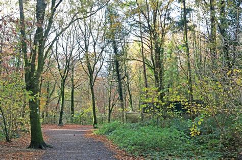 Stover Country Park, Devon, in Autumn Stock Image - Image of devon ...