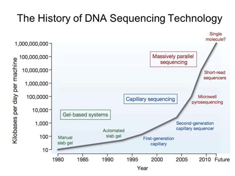 DNA Sequencing, History and Application