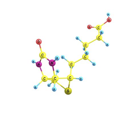 Coenzymes