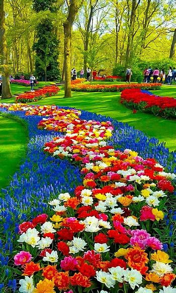 Beautiful Wallpapers Of Flower Gardens