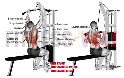 Medium-Grip Lat Pull-down: Build Your Upper Back Strength – Fitness Volt