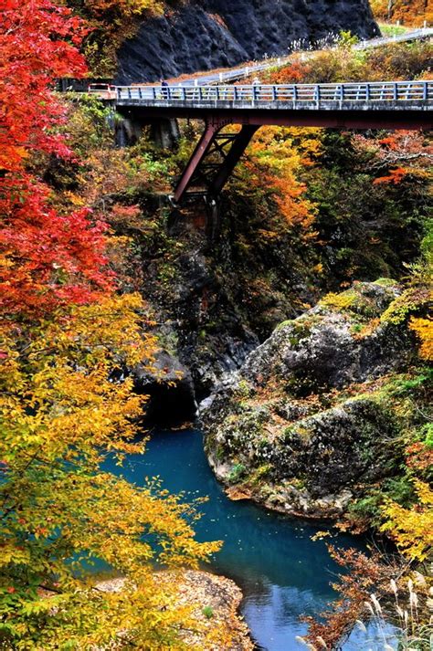 Bridge in Autumn -2 | Wonders of the world, Beautiful places, Japan travel