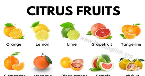 30+ Delicious Citrus Fruits You've Got to Try - Love English