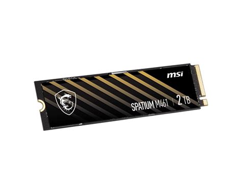 SPATIUM M461 PCIe 4.0 NVMe M.2