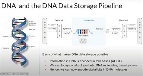 Preserving Data through Centuries without Hard Drives - Meet DNA Data ...