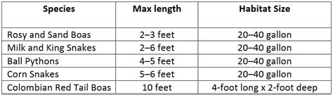 pet snake chart size - Pet Territory