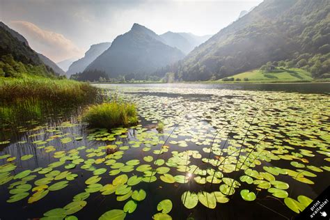 10 beautiful lakes in Trentino 🇮🇹 — Claire Droppert | Photographer