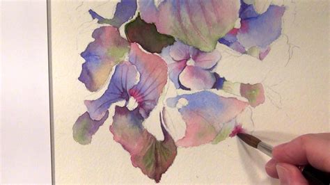 How to paint Hydrangeas - Watercolor Online Tutorial