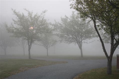 Early Morning Fog Photograph by Sherry LaFaver