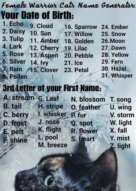 Warrior Cat Name Generator: Pansy