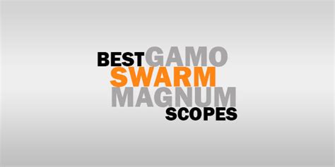 Best Scope For Gamo Swarm Magnum - Reviews w/FAQs