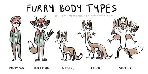 types of furry art - vwcaliforniacampervan