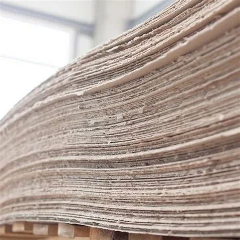 Wood & Paper Pulp - White Hardwood Pulp Manufacturer from New Delhi