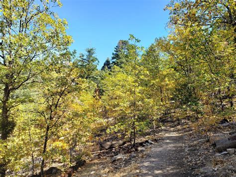 7 Best Lake Arrowhead Hiking Trails » The Modern Female Hiker