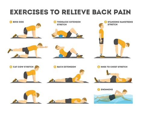 Premium Vector | Exercise set to relieve back pain. stretching and training