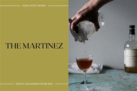 15 Gin Vermouth Cocktails to Shake Up Your Happy Hour! | DineWithDrinks