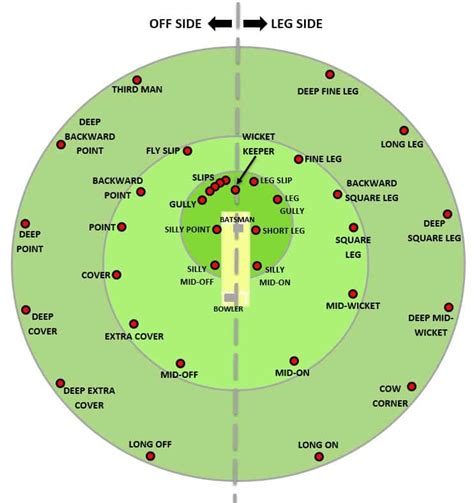 Cow Position In Cricket - All About Cow Photos