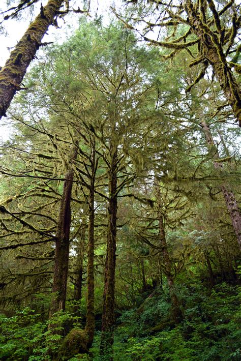 Ketchikan | Alaska Rainforest Sanctuary | Leslie | Flickr