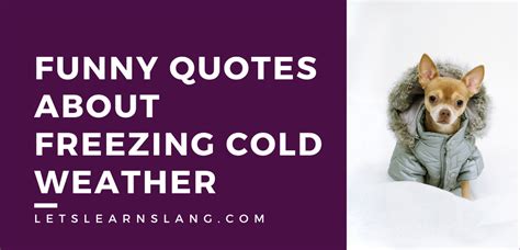 100 Funny Quotes About Freezing Weather Will Get You Prepared - Lets ...