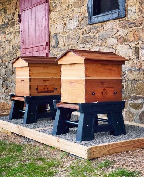 Beautiful photo of our •Ultimate Hive Stands• from ...