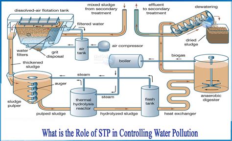 What is the role of STP in controlling water pollution