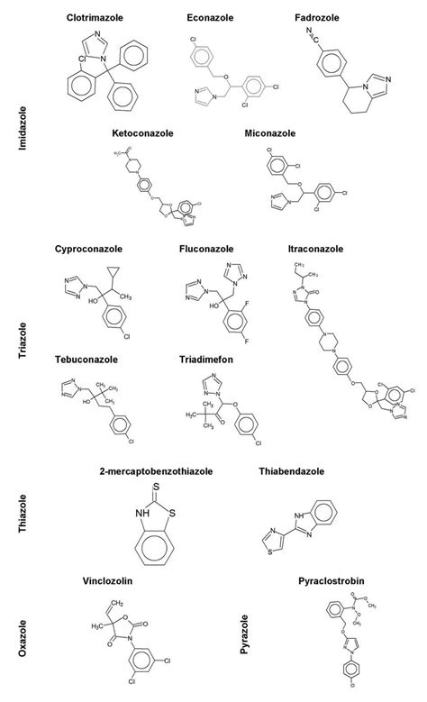 Classification and molecular structure of azole fungicides. An azole is ...