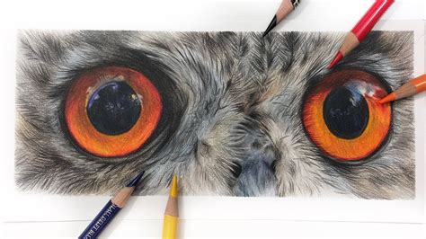 Owl Eyes Drawing