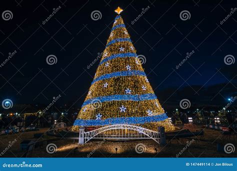 The National Christmas Tree at Night, in Washington, DC Stock Photo ...