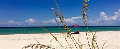 Dr. Julian G. Bruce St. George Island State Park | Florida State Parks