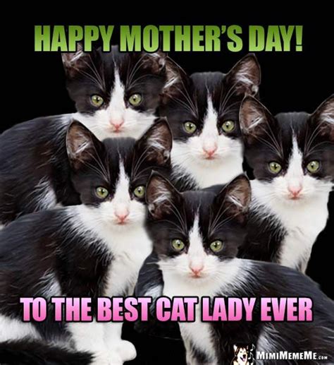 Funny Kitten Siblings Say: Happy Mother's Day! To the Best Cat Lady ...