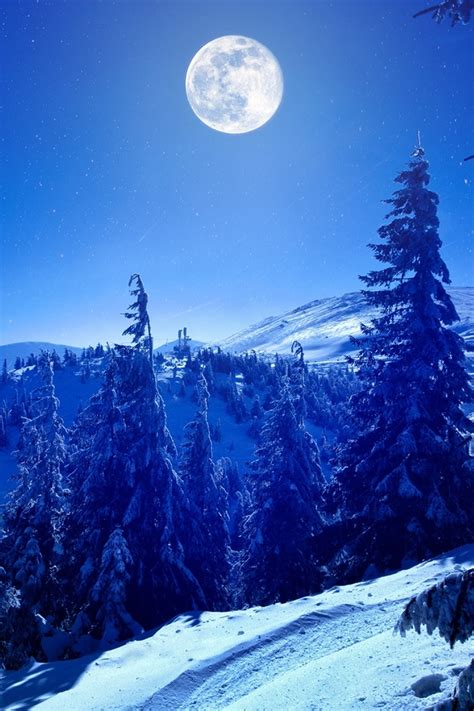 1080x1620 Full Moon Over Winter Forest 1080x1620 Resolution Wallpaper ...